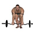 Reverse Row - EZ Bar Narrow Stance